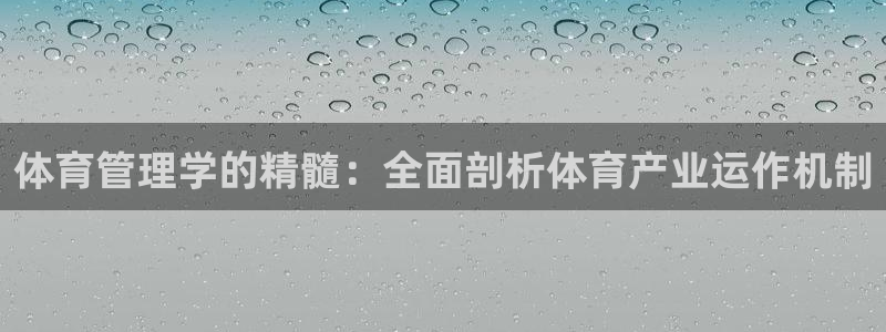 必一体育在哪下：体育