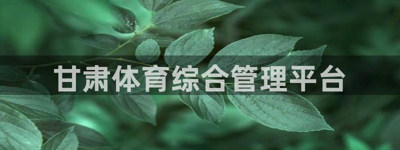 必一体育sport官