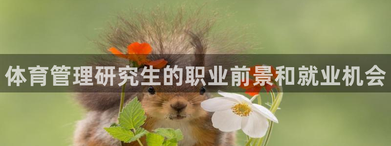 必一体育下载移动版：