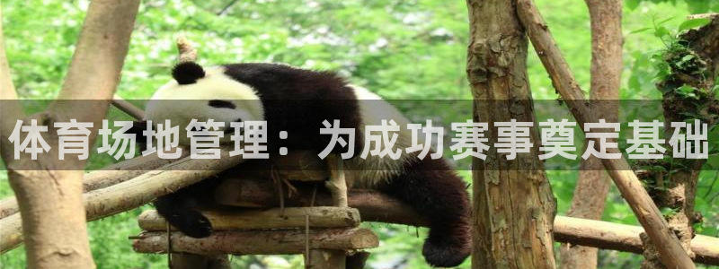 必一体育登录APP下