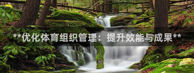 必一体育黑平台