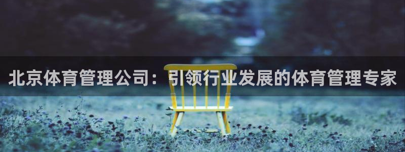 b体育必一运动网页版