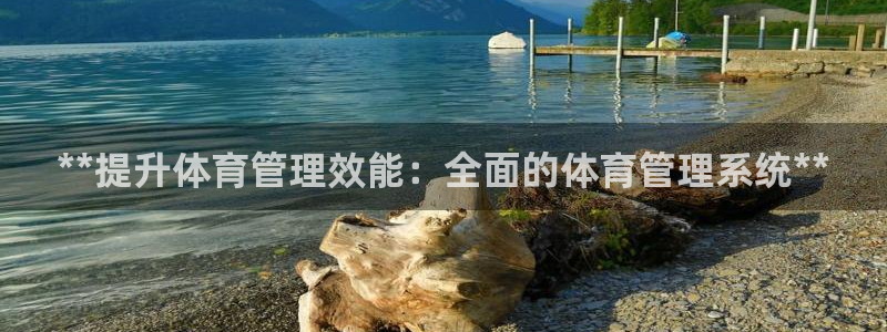 必一体育运动app下