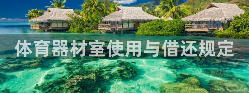 必一体育官网ios下