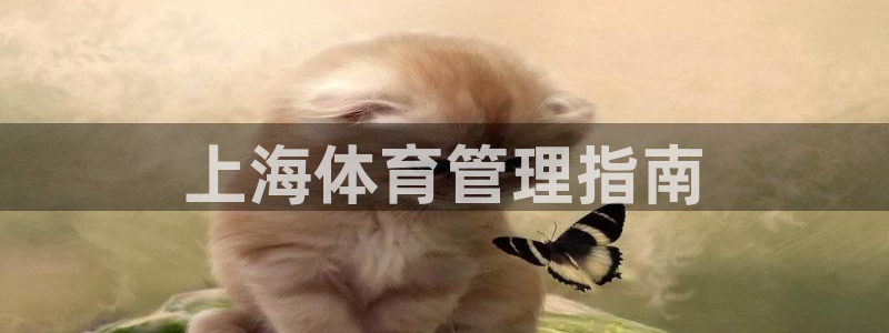 必一体育sport网页版