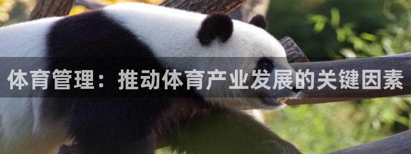 必一体育app官方下