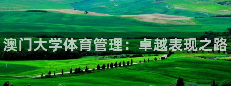 必一运动·(B-Sports)