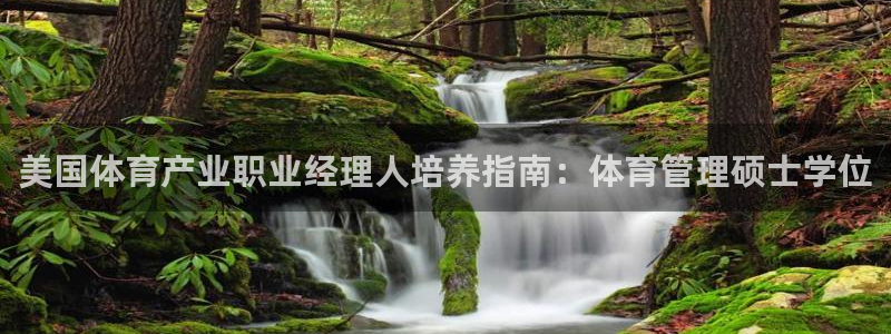 必一体育电子app：