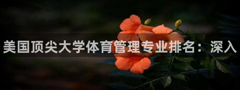 必一体育app官方正版下载