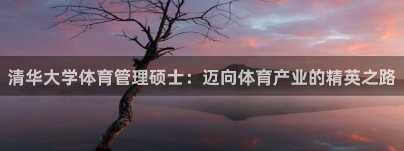 必一体育登录APP下