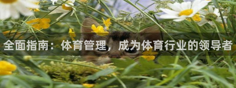 必一体育登录入口AP