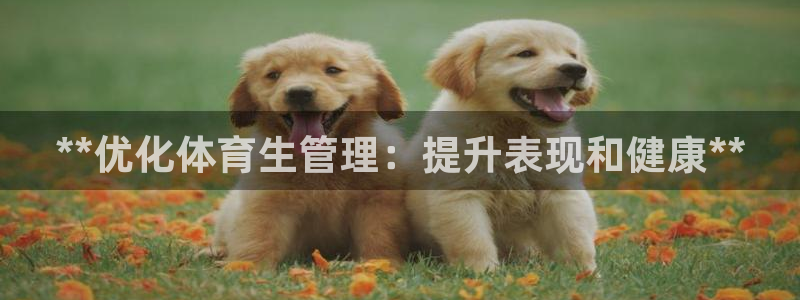 b体育必一下载：**