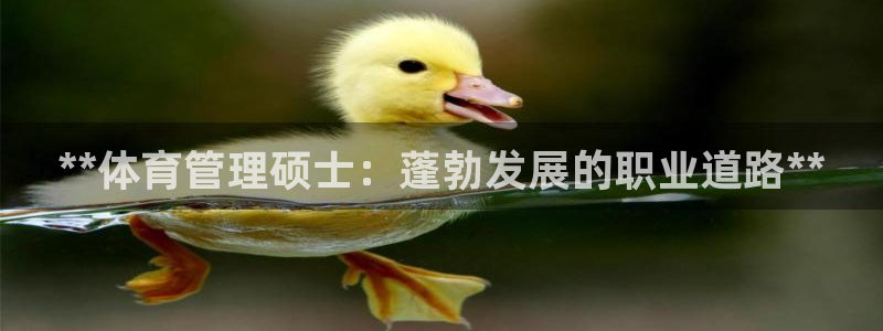 必一体育app下载最