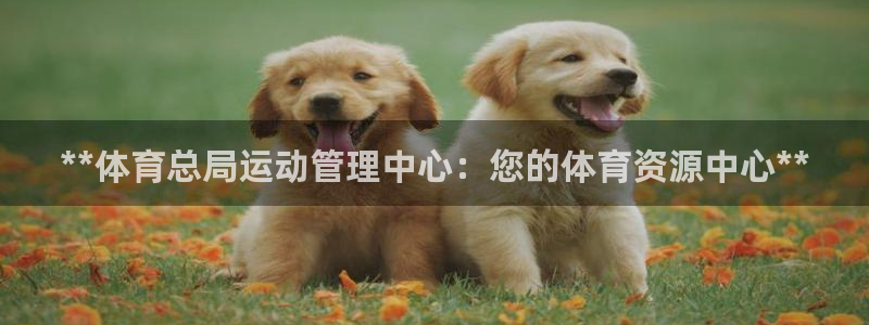 必一体育下载app：