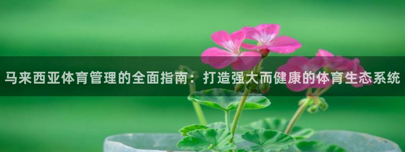 必一运动·体育：马来