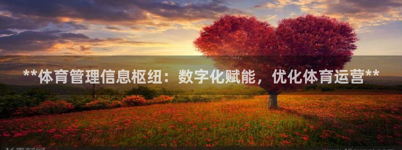 必一体育app下载：