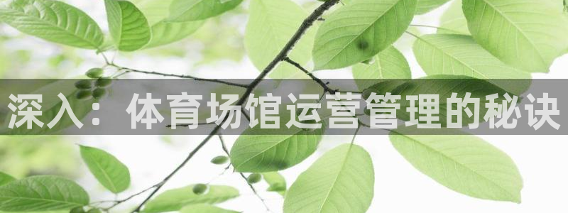 必一体育皮尔斯