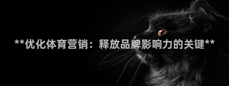 必一运动B-Sport官方网站入口