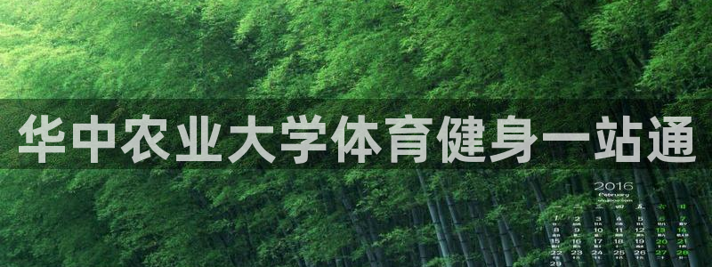 必一体育最新官网入口