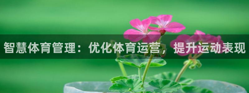 必一体育下载登入：智