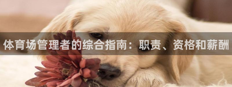 必一体育官网网站：体育场管理者的综合指南：职责、资格和薪酬