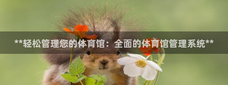 必十二和必一的副作用