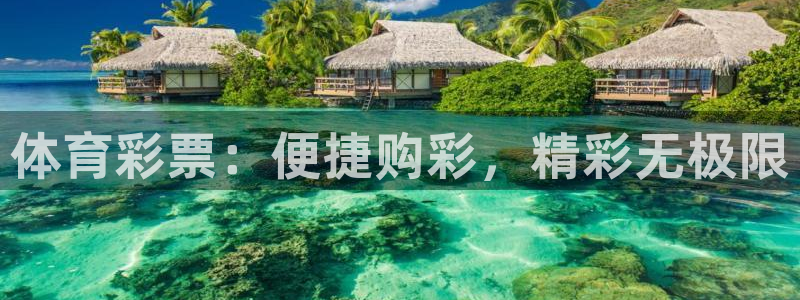 必一体育APP下载安