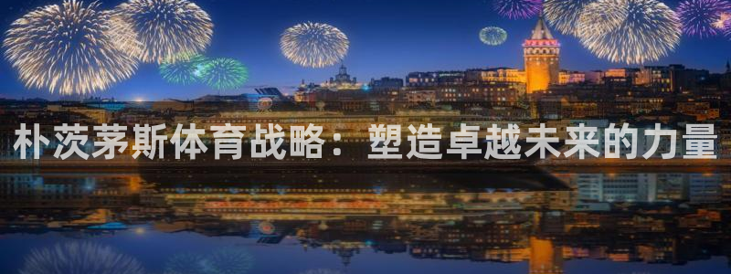 必一体育bsport