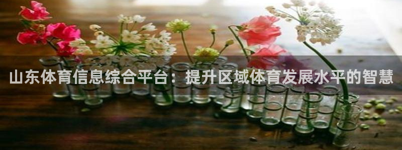 必一体育官网app：