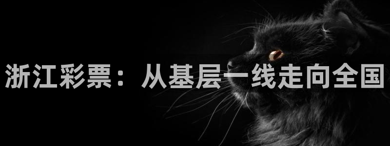 必一体育最新官网入口