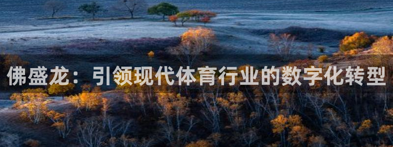 必一体育sport官