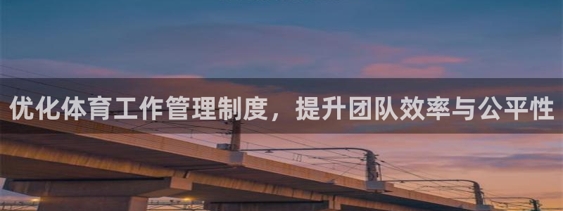 必一体育网站：优化体