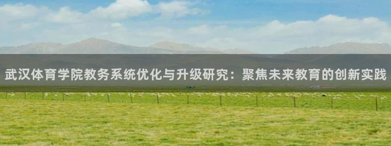 必一体育秀给网：武汉