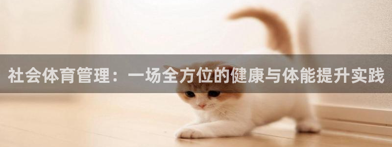 必一体育sport官
