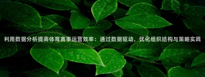必一体育网址：利用数据分析提高体育赛事运营效率：通过数据驱动