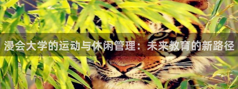 必一运动sport爱查股：浸会大学的运动与休闲管理：未来教育