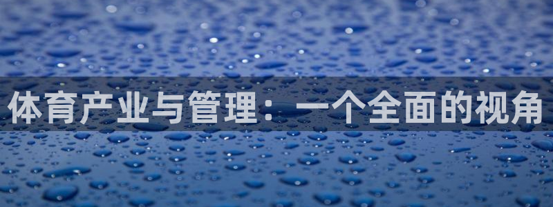 必一体育网站：体育产业与管理：一个全面的视角
