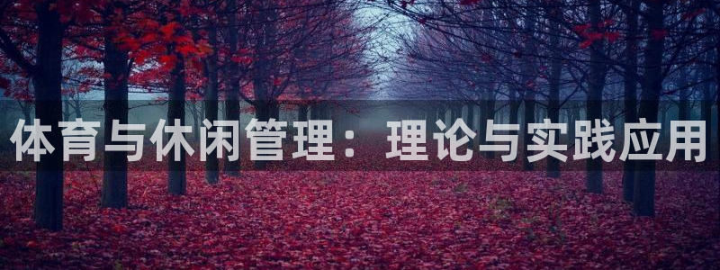 必一体育app下载最新版本：体育与休闲管理：理论与实践应用