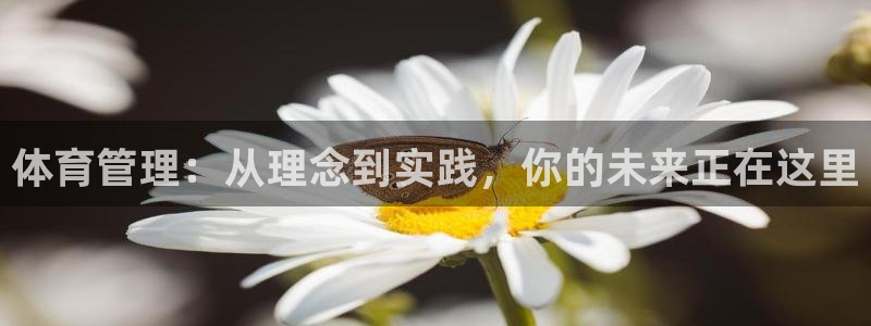 必一体育官网网站：体