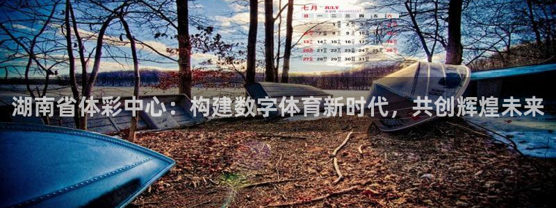 必一体育下载：湖南省体彩中心：构建数字体育新时代，共创辉煌未