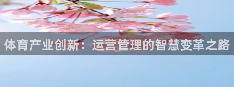 必一体育在线官网：体