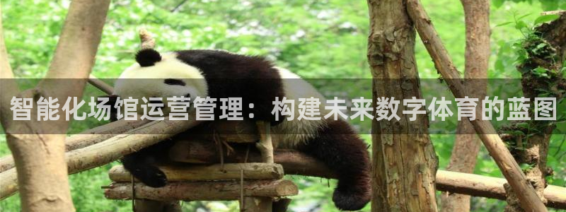 必一体育网站：智能化