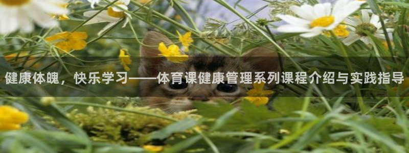 必一体育登入：健康体