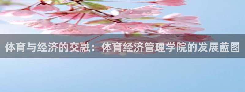 必一运动sport网