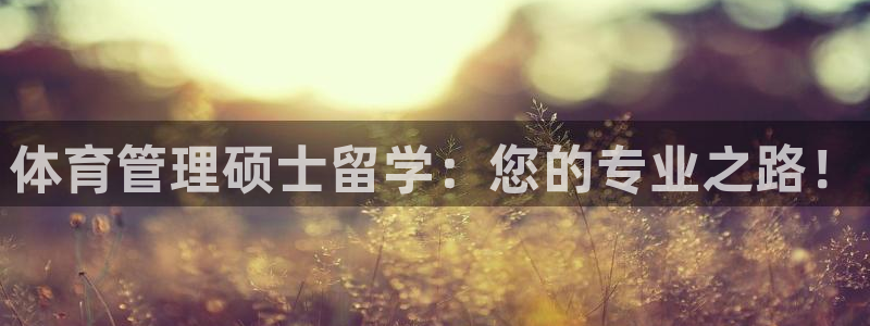 必一体育网页登陆：体