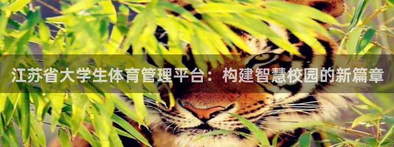 必一体育网页：江苏省