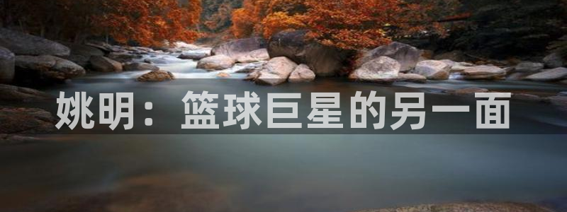 必一运动 b 体育素