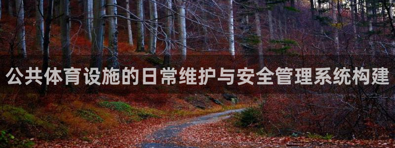 必一体育官网网址：公共体育设施的日常维护与安全管理系统构建