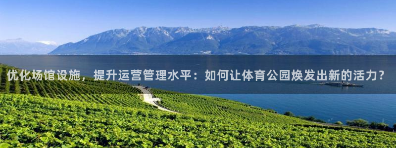 b体育必一运动网页版