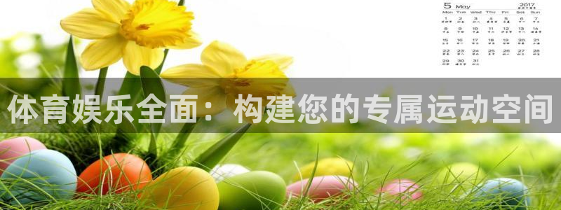 必一体育服下载最新版